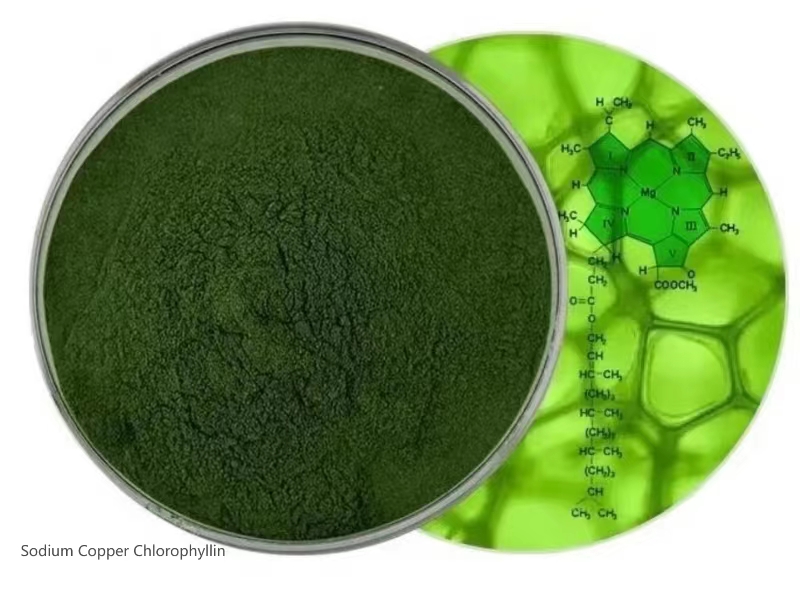 Sodium Copper Chlorophyllin